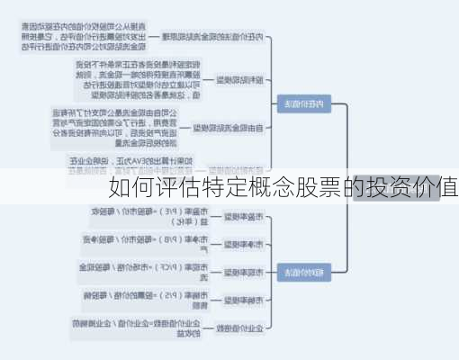 如何评估特定概念股票的投资价值