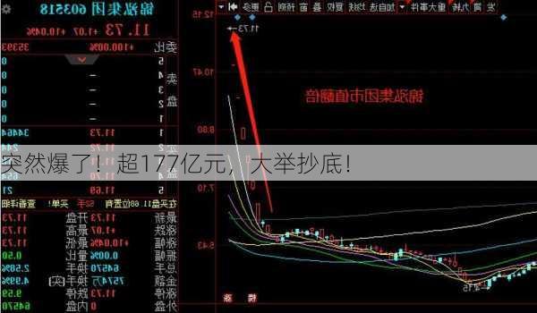 突然爆了！超177亿元，大举抄底！