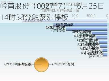 岭南股份（002717）：6月25日14时38分触及涨停板