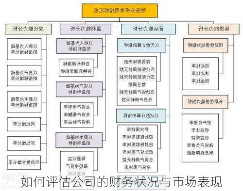 如何评估公司的财务状况与市场表现