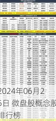 2024年06月25日 微盘股概念股排行榜