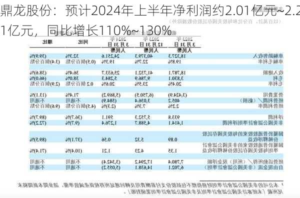 鼎龙股份：预计2024年上半年净利润约2.01亿元~2.21亿元，同比增长110%~130%