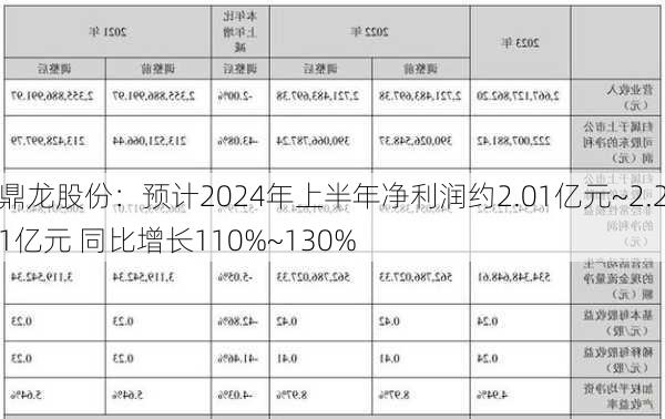 鼎龙股份：预计2024年上半年净利润约2.01亿元~2.21亿元 同比增长110%~130%