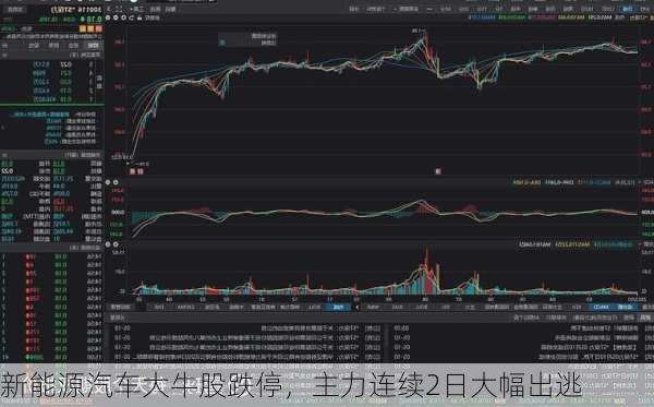 新能源汽车大牛股跌停，主力连续2日大幅出逃