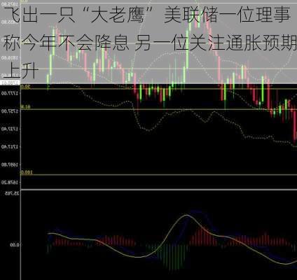 飞出一只“大老鹰” 美联储一位理事称今年不会降息 另一位关注通胀预期上升