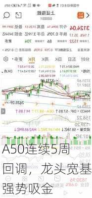 A50连续5周回调，龙头宽基强势吸金