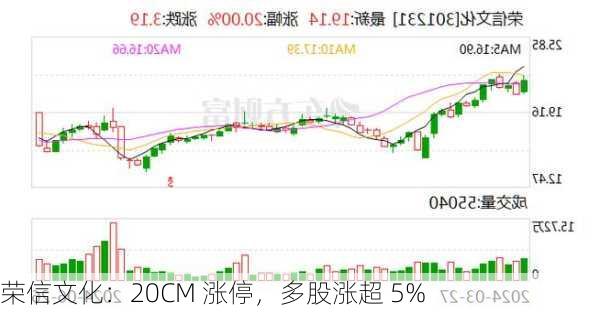 荣信文化：20CM 涨停，多股涨超 5%