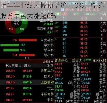 上半年业绩大幅预增逾110%，鼎龙股份早盘大涨超6%