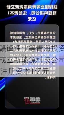 赣锋锂业等青海投资成立新能源科技公司 注册资本1亿元