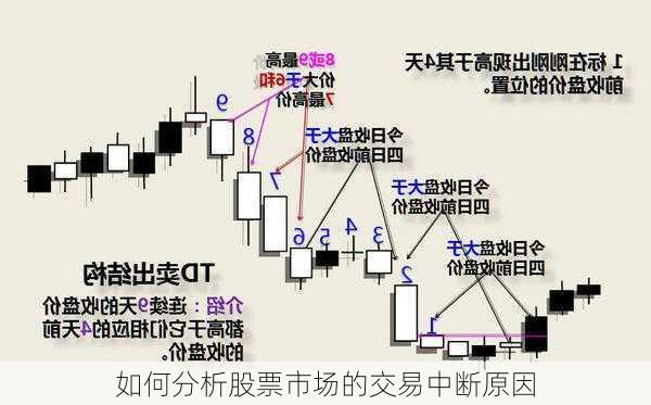 如何分析股票市场的交易中断原因