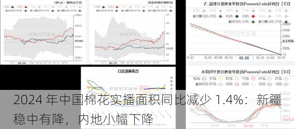 2024 年中国棉花实播面积同比减少 1.4%：新疆稳中有降，内地小幅下降