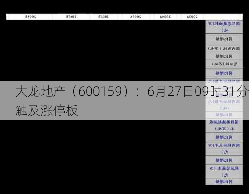 大龙地产（600159）：6月27日09时31分触及涨停板