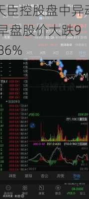 天臣控股盘中异动 早盘股价大跌9.86%
