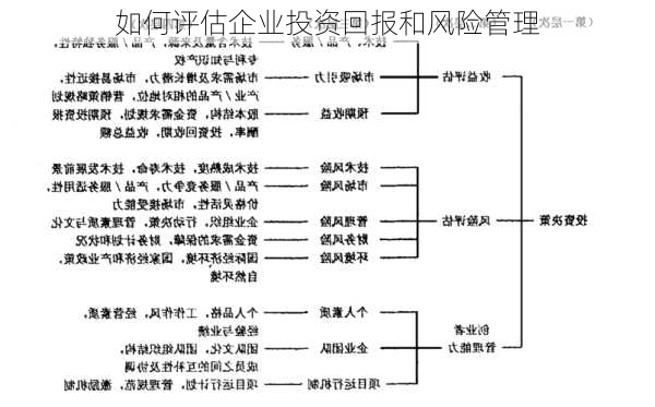 如何评估企业投资回报和风险管理