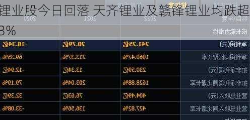 锂业股今日回落 天齐锂业及赣锋锂业均跌超3%