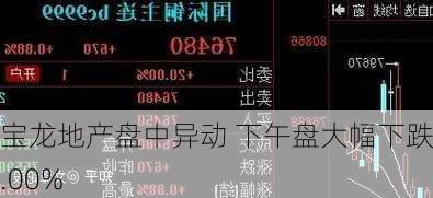 宝龙地产盘中异动 下午盘大幅下跌5.00%