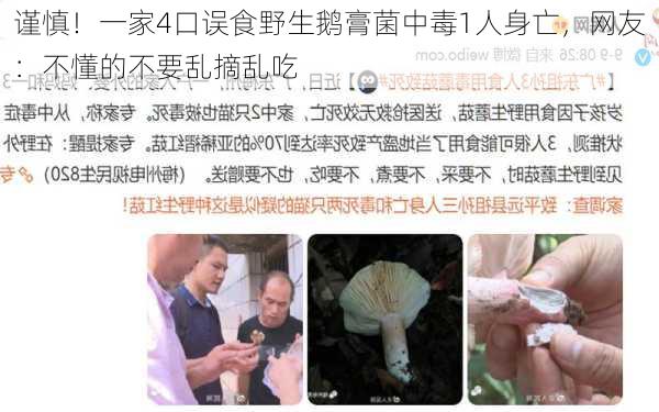 谨慎！一家4口误食野生鹅膏菌中毒1人身亡，网友：不懂的不要乱摘乱吃