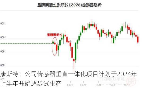 康斯特：公司传感器垂直一体化项目计划于2024年上半年开始逐步试生产