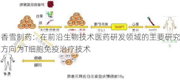 香雪制药：在前沿生物技术医药研发领域的主要研究方向为T细胞免疫治疗技术