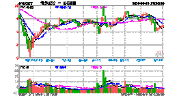 宝光股份(600379.SH)2023年度每股派0.065元 股权登记日为7月4日