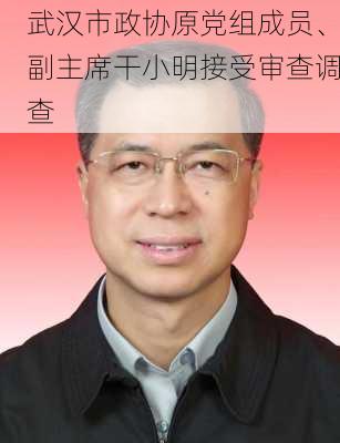 武汉市政协原党组成员、副主席干小明接受审查调查