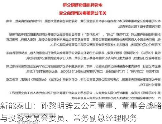 新能泰山：孙黎明辞去公司董事、董事会战略与投资委员会委员、常务副总经理职务