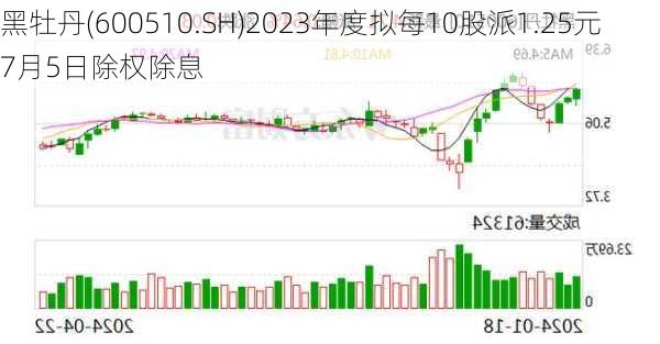 黑牡丹(600510.SH)2023年度拟每10股派1.25元 7月5日除权除息