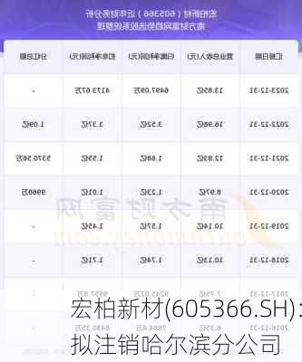 宏柏新材(605366.SH)：拟注销哈尔滨分公司