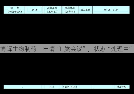 博晖生物制药：申请“II 类会议”，状态“处理中”