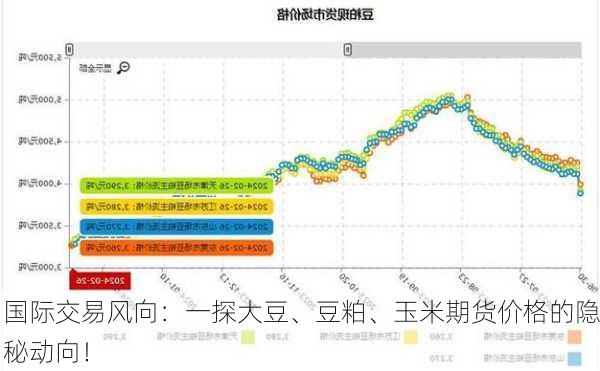 国际交易风向：一探大豆、豆粕、玉米期货价格的隐秘动向！