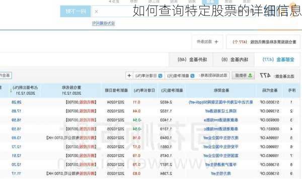 如何查询特定股票的详细信息