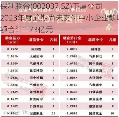 保利联合(002037.SZ)下属公司2023年度逾期尚未支付中小企业款项金额合计1.73亿元