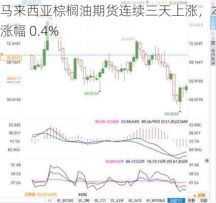 马来西亚棕榈油期货连续三天上涨，本周涨幅 0.4%