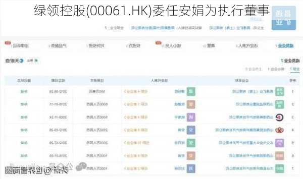 绿领控股(00061.HK)委任安娟为执行董事