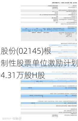 上美股份(02145)根据限制性股票单位激励计划发行4.31万股H股