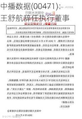 中播数据(00471)：王舒航辞任执行董事