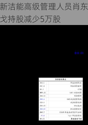 新洁能高级管理人员肖东戈持股减少5万股