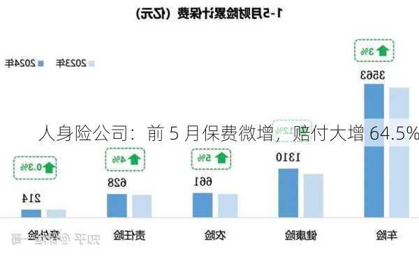 人身险公司：前 5 月保费微增，赔付大增 64.5%