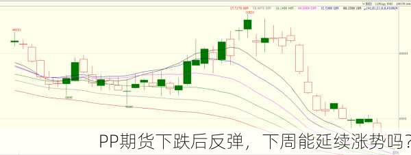 PP期货下跌后反弹，下周能延续涨势吗？