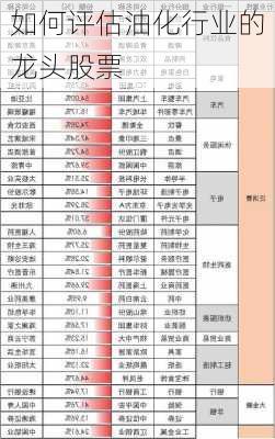 如何评估油化行业的龙头股票