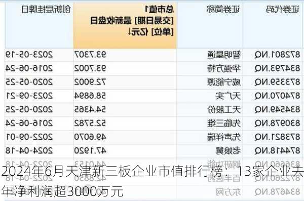 2024年6月天津新三板企业市值排行榜：13家企业去年净利润超3000万元