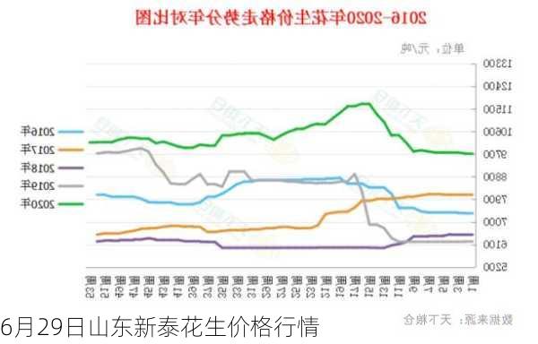 6月29日山东新泰花生价格行情