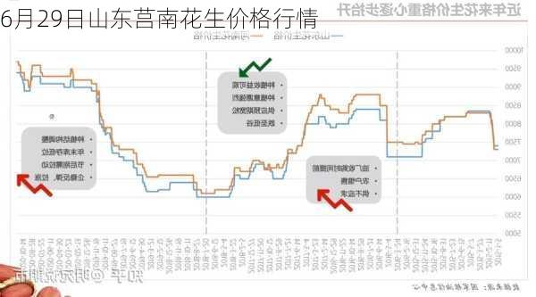 6月29日山东莒南花生价格行情