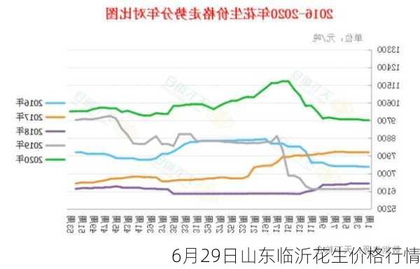 6月29日山东临沂花生价格行情