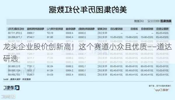 龙头企业股价创新高！这个赛道小众且优质――道达研选