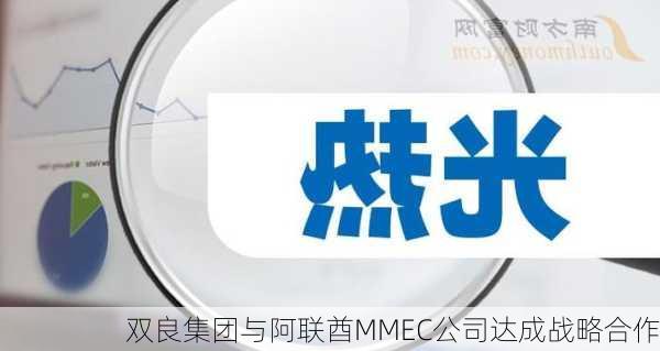 双良集团与阿联酋MMEC公司达成战略合作