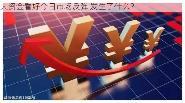 大资金看好今日市场反弹 发生了什么？