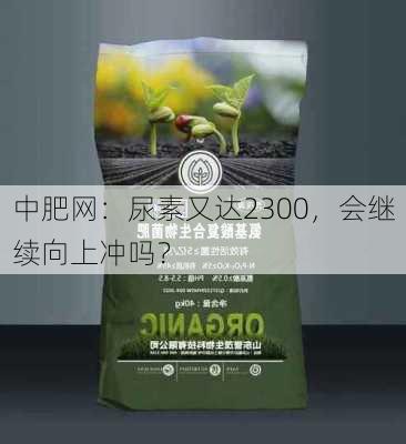 中肥网：尿素又达2300，会继续向上冲吗？