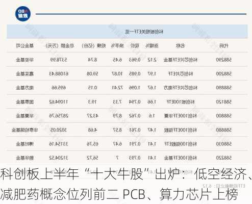 科创板上半年“十大牛股”出炉：低空经济、减肥药概念位列前二 PCB、算力芯片上榜