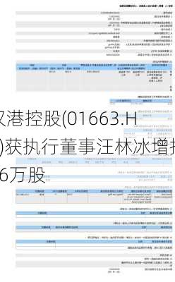 汉港控股(01663.HK)获执行董事汪林冰增持46万股